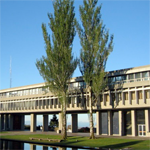 Trees in SFU's courtyard.